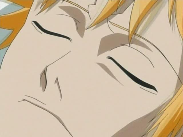 Otaku Gallery  / Anime e Manga / Bleach / Screen Shots / Episodi / 017 - Ichigo muori / 114.jpg